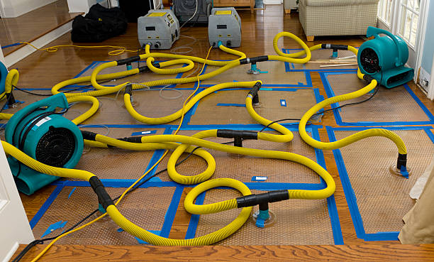 Professional Storm Water Damage Restoration technician working in Girard, PA
